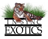 In-Sync Exotics, Inc. - charity reviews, charity ratings, best charities, best nonprofits, search nonprofits