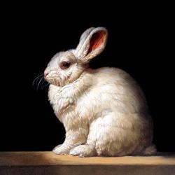 BunnySpirit