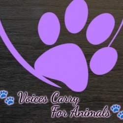 VoicesCarryForAnimals