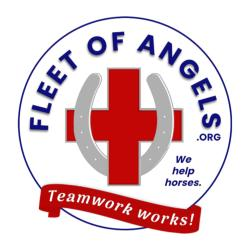 Fleet of Angels