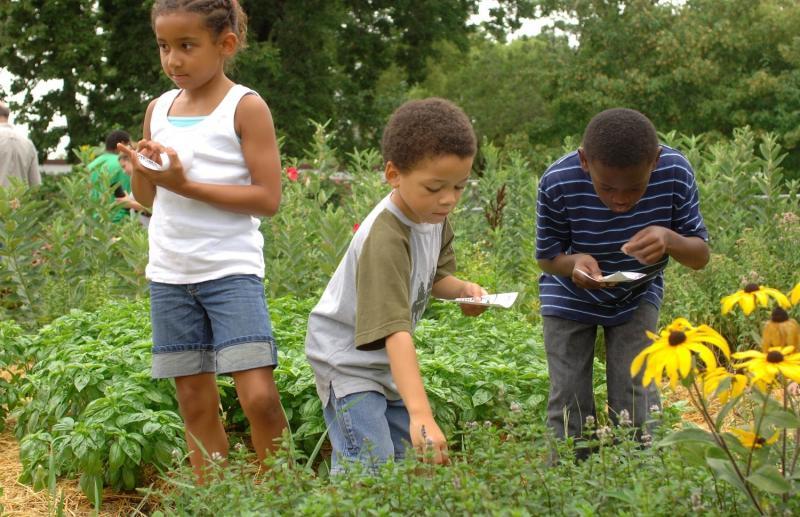 kars4kids inc nonprofit in